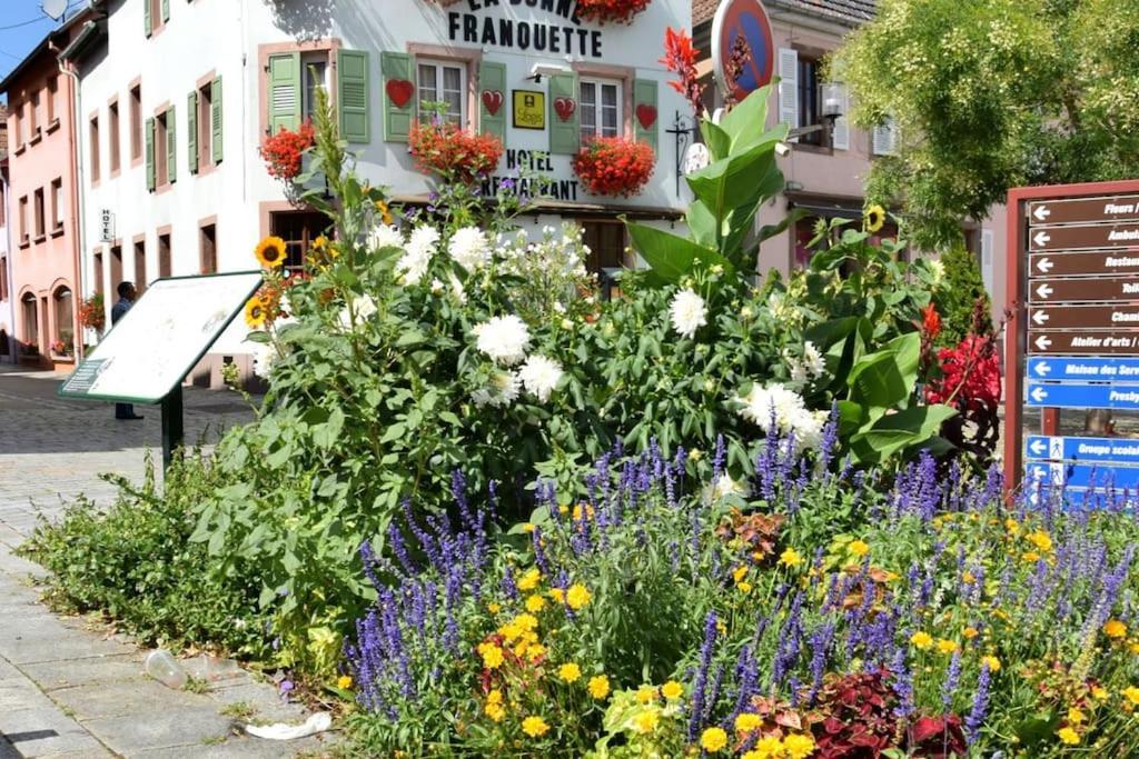 Ville Centre - Gite Le Villois - Au Coeur De L'Alsace Exterior photo