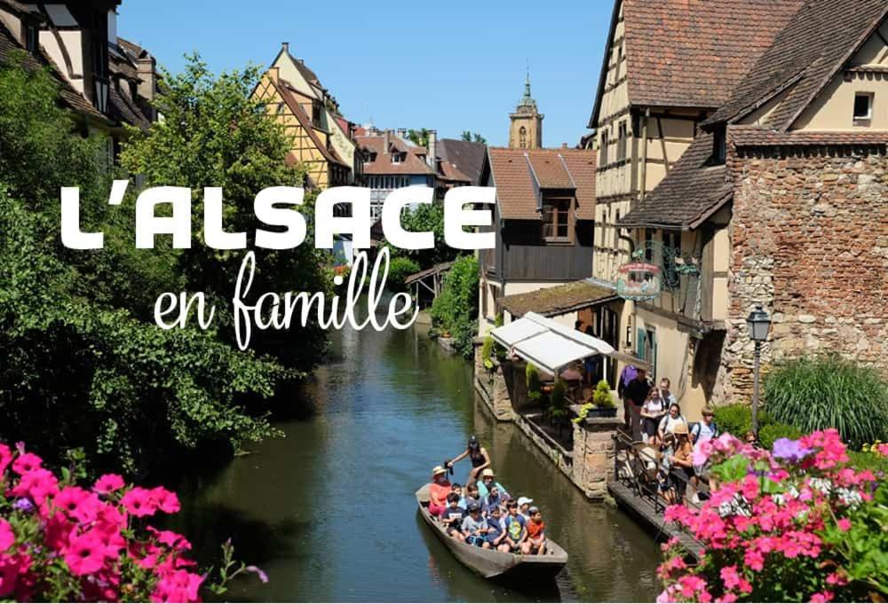 Ville Centre - Gite Le Villois - Au Coeur De L'Alsace Exterior photo